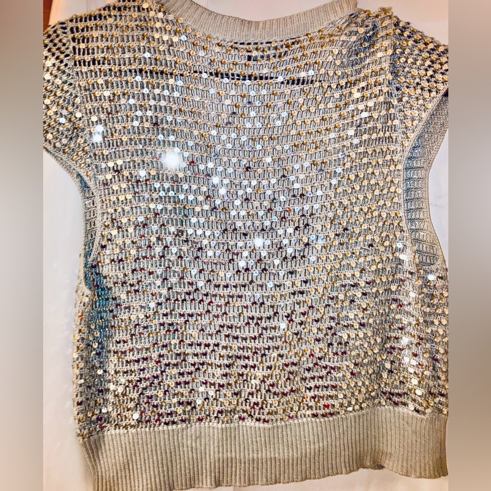 BCBG Shimmering Silver and Cream Knit Top